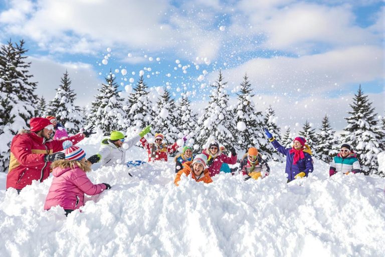 Snowfight.io : jeu de boules de neige en ligne compétitif.jpg